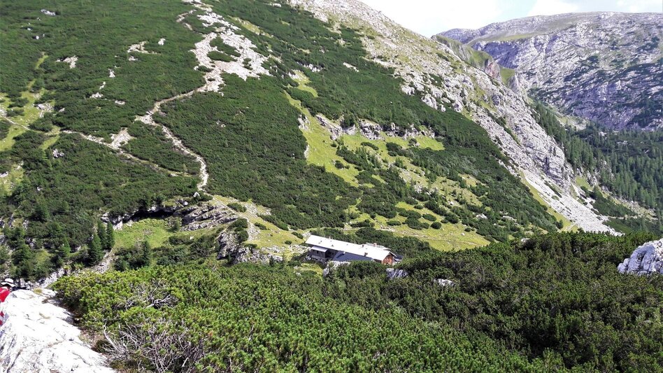 Mountain Hike Zinödl-Panoramaweg - Touren-Impression #2.3 | © TV Gesäuse