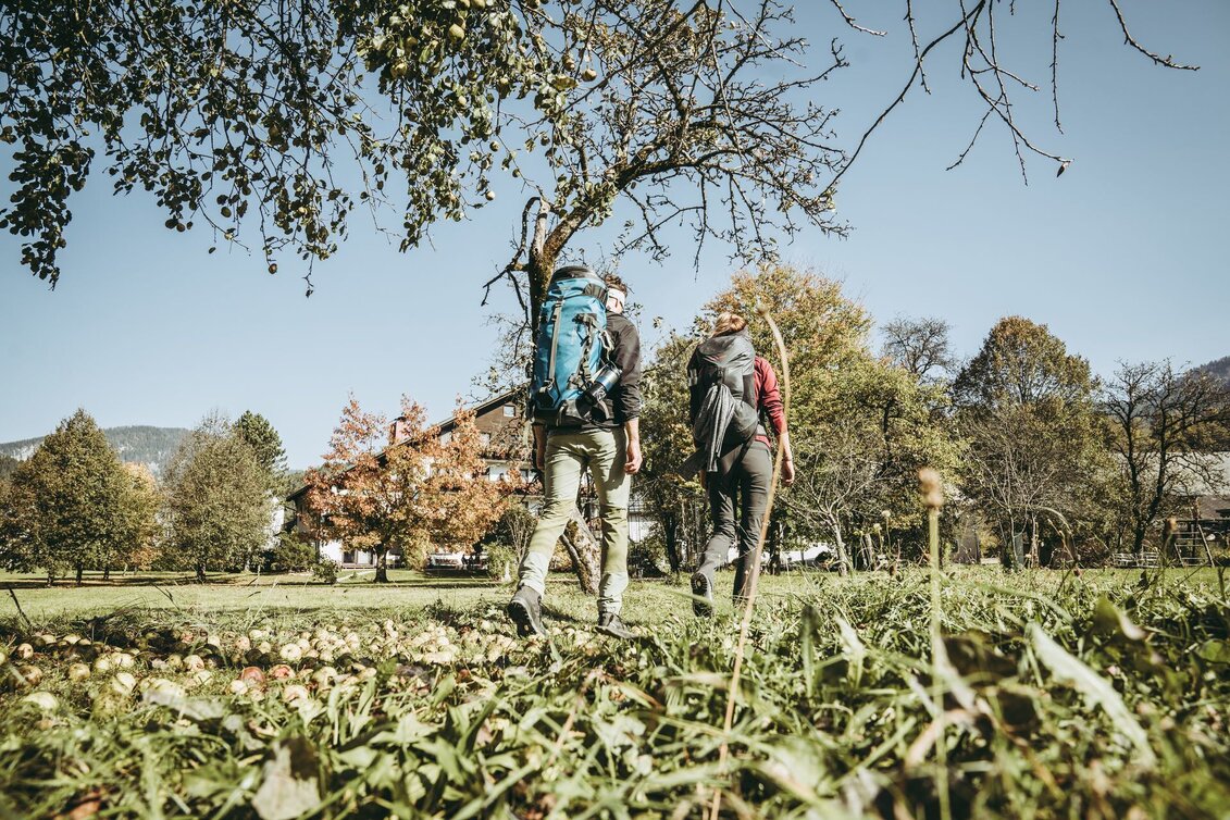 Wanderung Dörflrunde-Mooslandl - Touren-Impression #1 | © TV Gesäuse