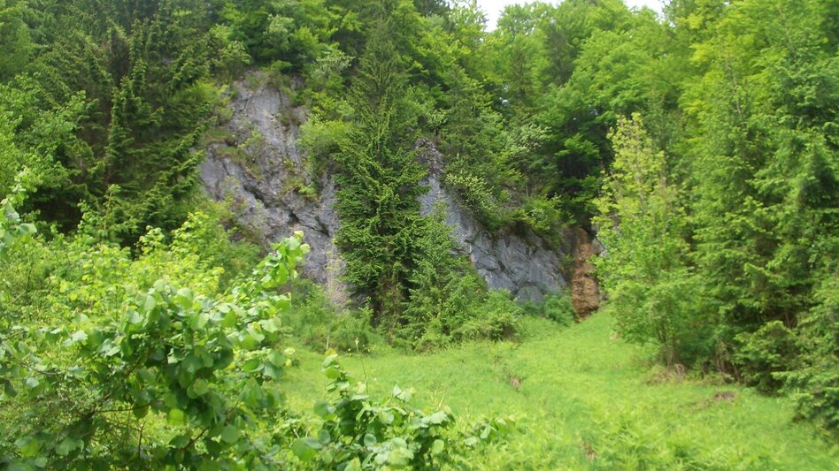 Wanderung Dörflrunde-Mooslandl - Touren-Impression #2.4 | © TV Gesäuse
