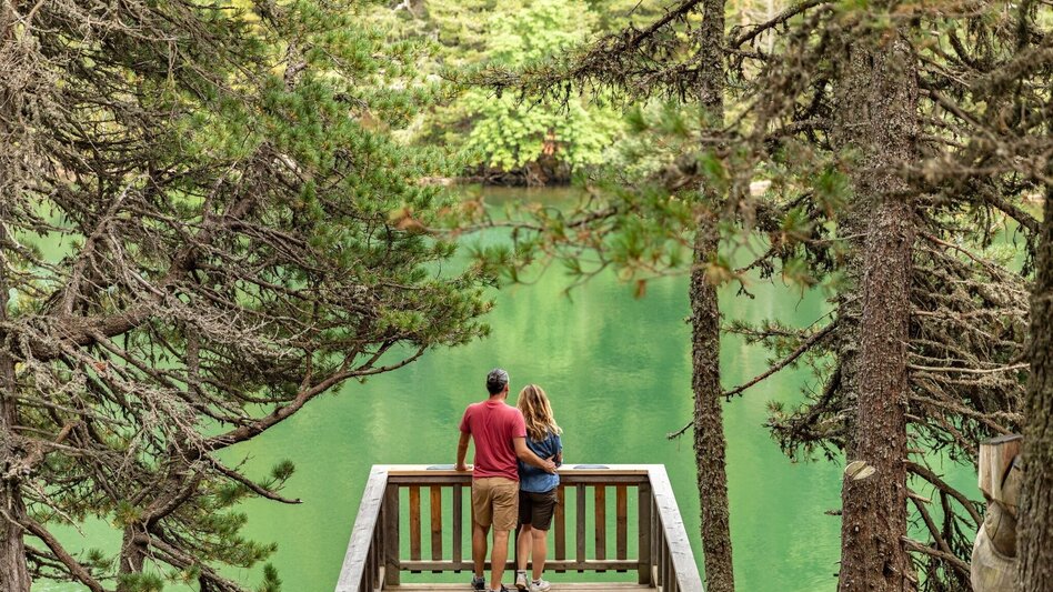 Themen- und Lehrpfad 3 Seen-Rundweg auf der Turracher Höhe - Touren-Impression #2.1 | © Tourismusverband Murau