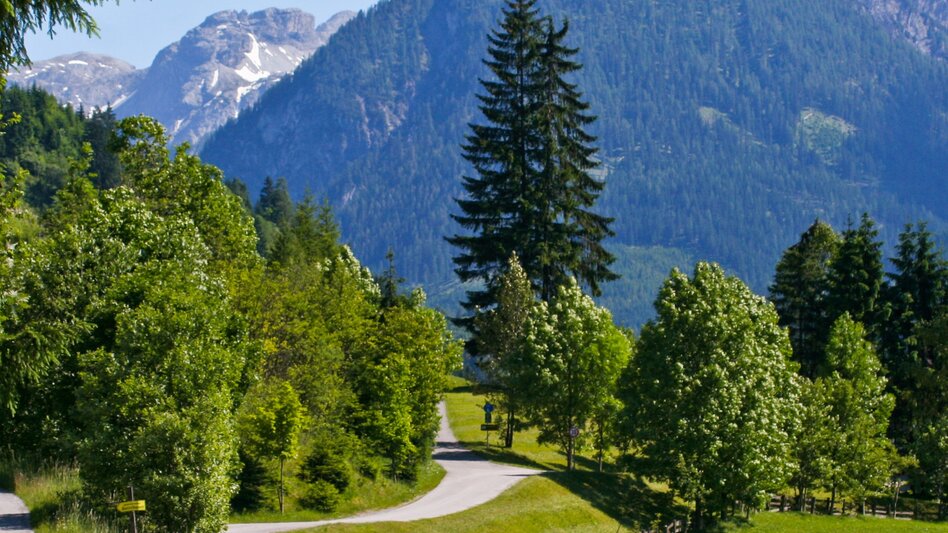 Bike Riding Enns Cycle Trail ‒ through a world of mountains and water - Touren-Impression #2.2 | © Steiermark Tourismus/Gerhard Eisenschink