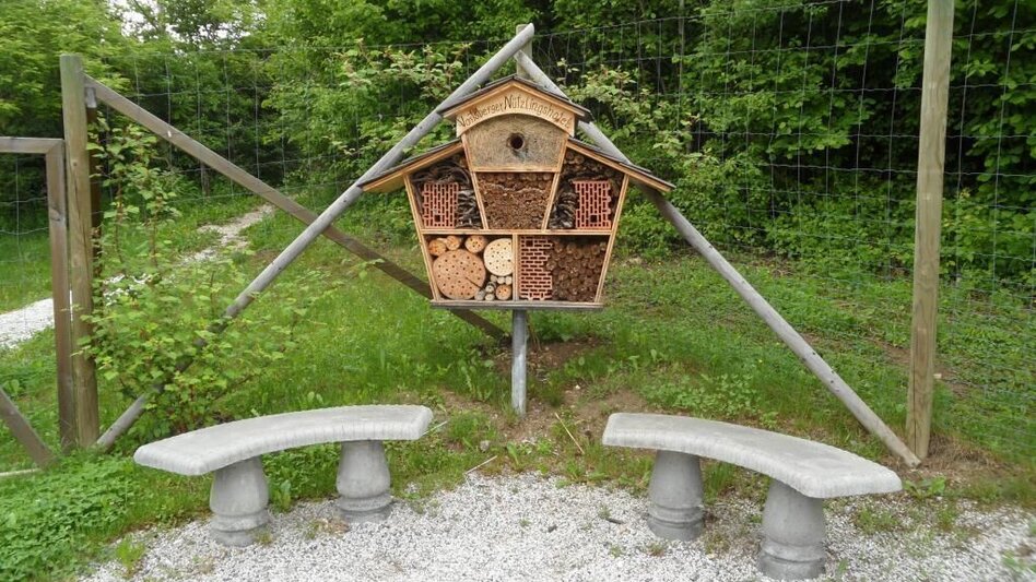 Wanderung Auf der Sonnenseite der Stadt Voitsberg - Touren-Impression #2.7 | © Region Graz