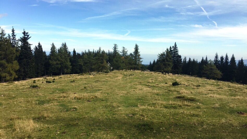 Hiking route Hirschegg mountain hut duet - Touren-Impression #2.7 | © Region Graz