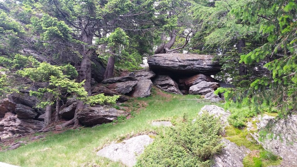 Hiking route Hirschegg mountain hut duet - Touren-Impression #2.8 | © Region Graz