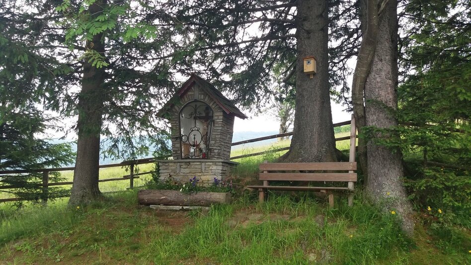 Hiking route Hirschegg mountain hut duet - Touren-Impression #2.16 | © Region Graz