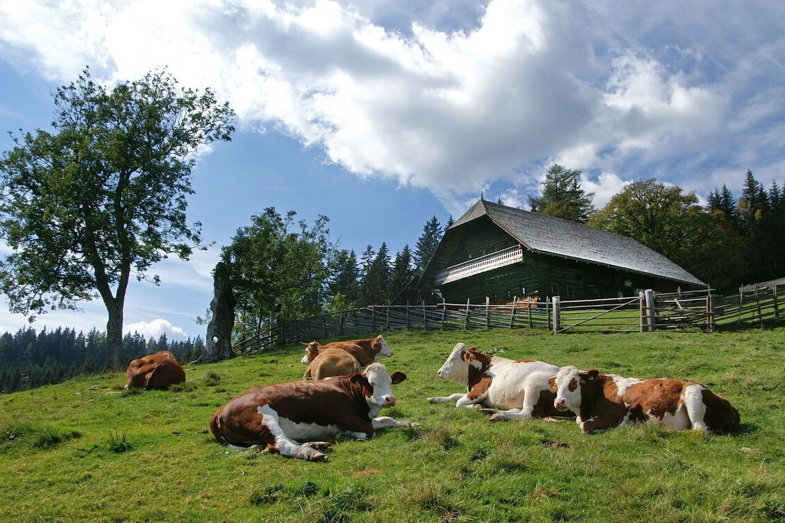 Family hiking trails Rosegger Almrunde (Rosegger Alpine Loop) - Touren-Impression #1 | © TV Hochsteiermark
