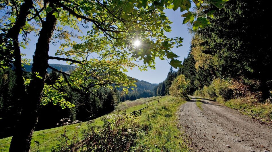 Family hiking trails Rosegger Almrunde (Rosegger Alpine Loop) - Touren-Impression #2.2 | © TV Hochsteiermark
