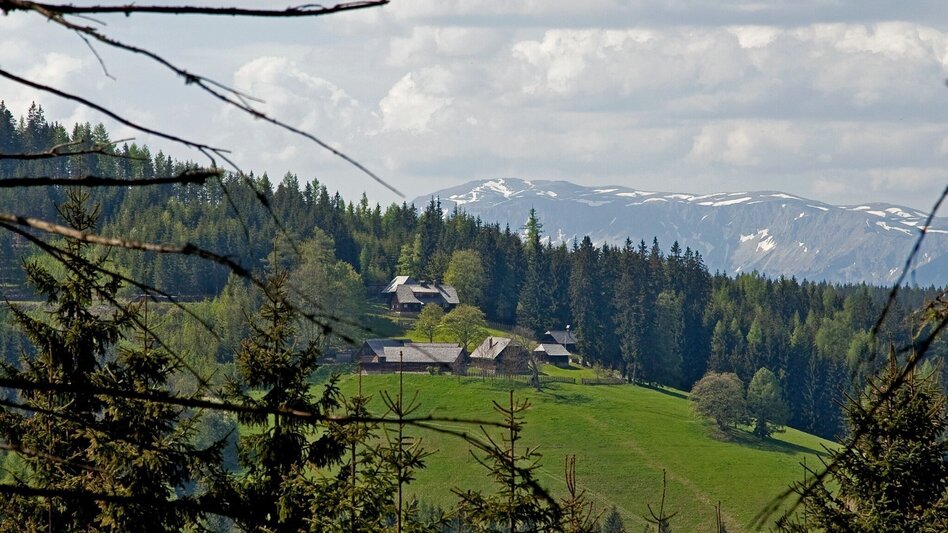 Family hiking trails Rosegger Almrunde (Rosegger Alpine Loop) - Touren-Impression #2.5 | © TV Hochsteiermark