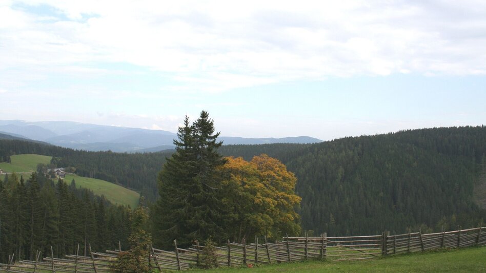 Family hiking trails Rosegger Almrunde (Rosegger Alpine Loop) - Touren-Impression #2.6 | © TV Hochsteiermark