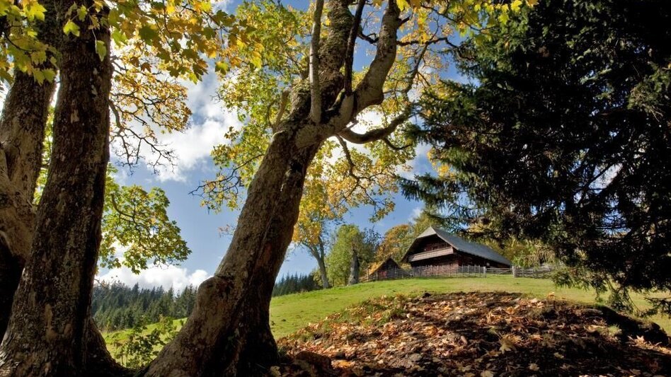 Family hiking trails Rosegger Almrunde (Rosegger Alpine Loop) - Touren-Impression #2.8 | © TV Hochsteiermark