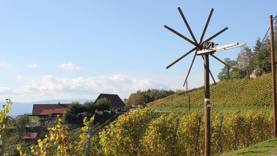 Radfahren Weinstraßentour Variante Kranachberg-Heimschuh - Touren-Impression #2.1 | © TVB Südsteiermark