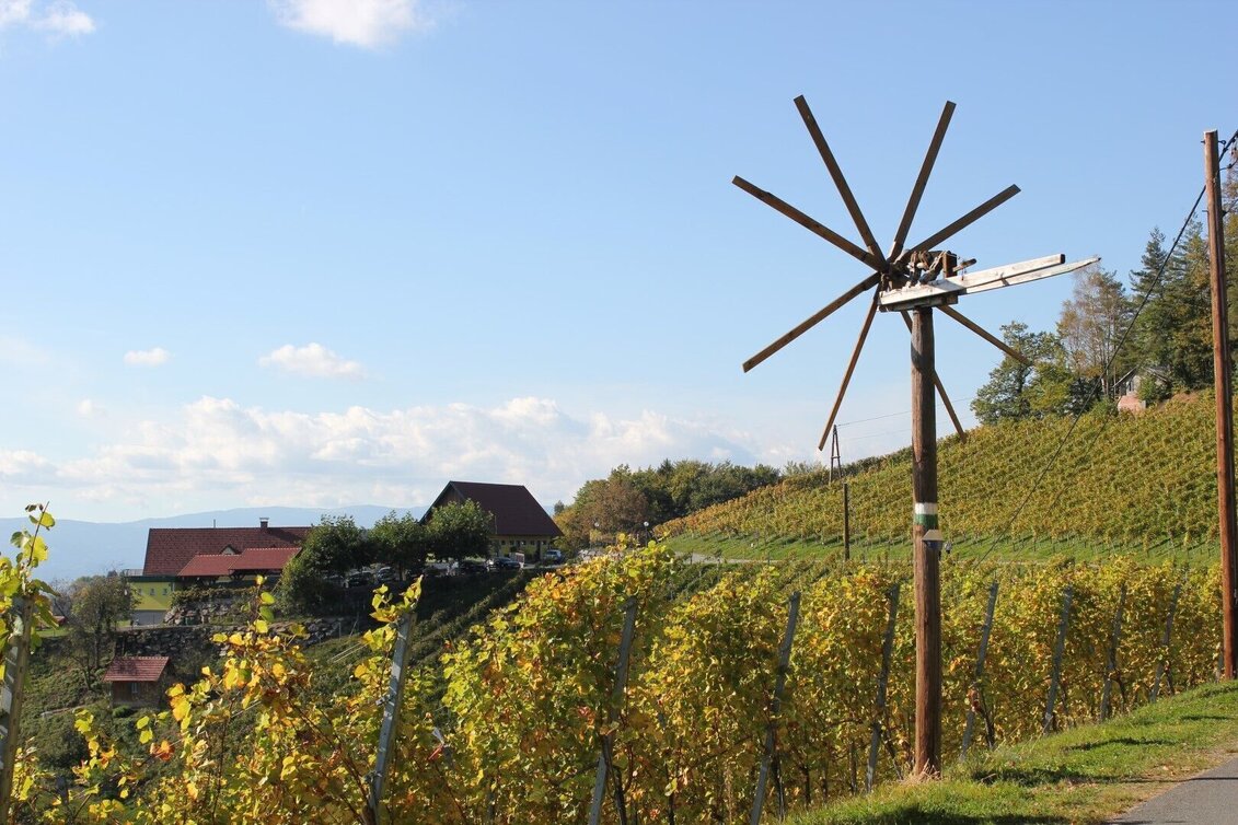 Radfahren Weinstraßentour Variante Kranachberg-Heimschuh - Touren-Impression #1 | © TVB Südsteiermark