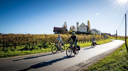 Radfahren in der Südsteiermark | © TVB Südsteiermark / Steiermark Tourismus Tom Lamm | Steiermark Tourismus | Tom Lamm | © TVB Südsteiermark / Steiermark Tourismus Tom Lamm