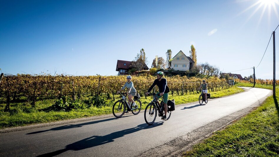 Radfahren Weinstraßentour Variante Kranachberg-Heimschuh - Touren-Impression #2.4 | © TVB Südsteiermark / Steiermark Tourismus Tom Lamm