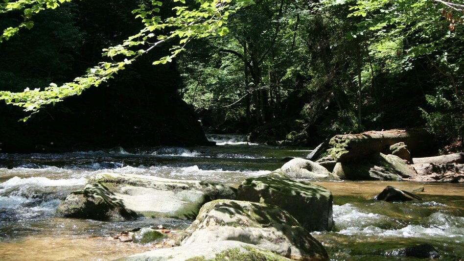 Pilgrim Walk Mariazeller Weg 2. Tagesetappe - Touren-Impression #2.1 | © Südsteiermark