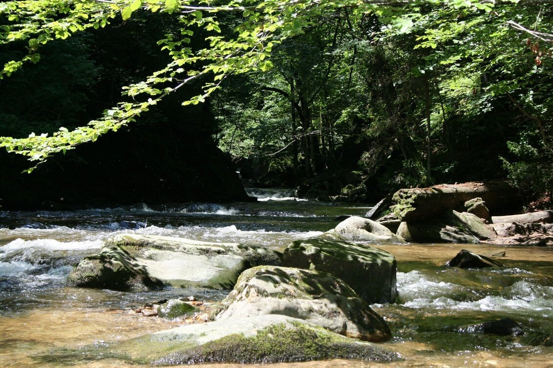 Pilgrim Walk Mariazeller Weg 2. Tagesetappe - Touren-Impression #1 | © Südsteiermark