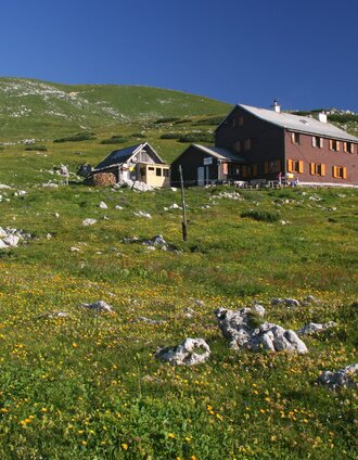 Count Meran House | Ute Gurdet | © TV Hochsteiermark