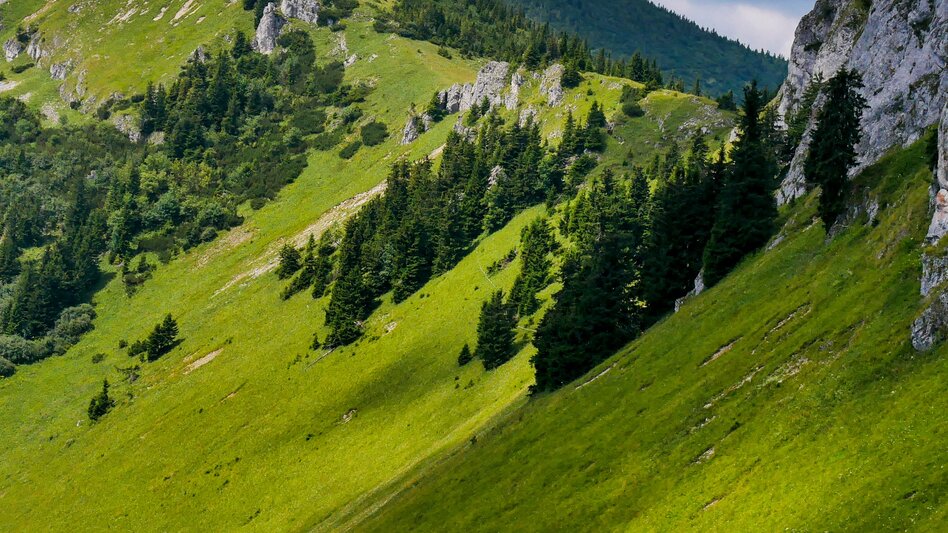 Pilgrim Walk Mariazeller Weg 9. Tagesetappe A - Touren-Impression #2.5 | © (c) Steiermark Tourismus/Manfred Polansky