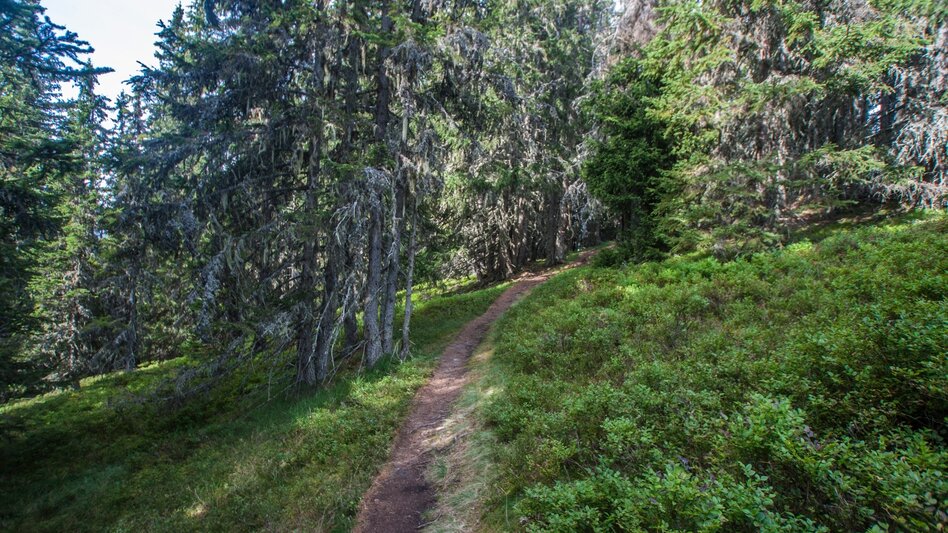 Hiking route From Planai to Schladming - Touren-Impression #2.6 | © Gerhard Pilz - www.gpic.at