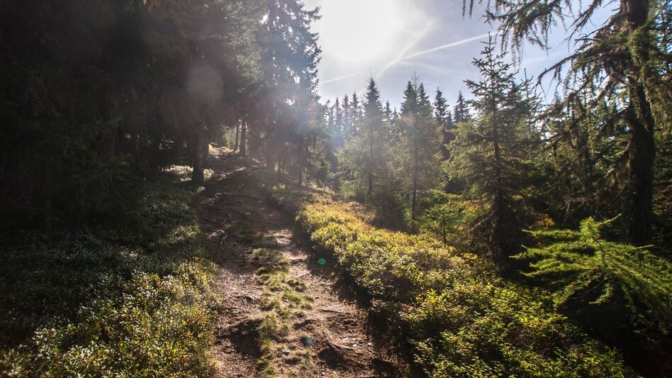 Hiking route From Planai to Schladming - Touren-Impression #2.11 | © Gerhard Pilz - www.gpic.at