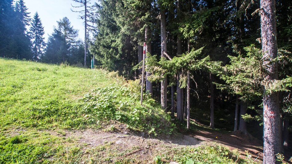 Hiking route From Planai to Schladming - Touren-Impression #2.12 | © Gerhard Pilz - www.gpic.at