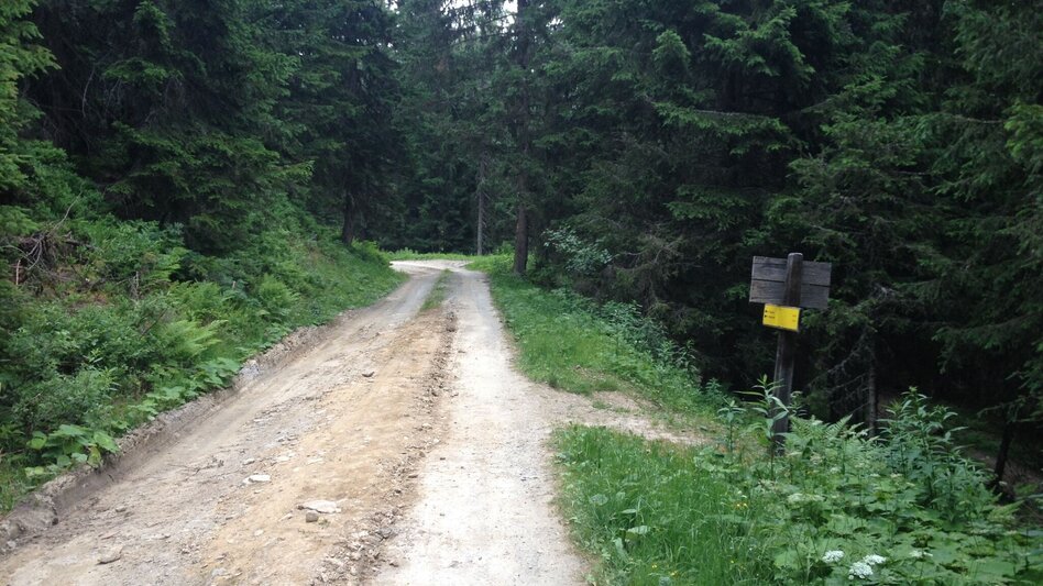 Hiking route From Hochwurzen to the village of Untertal - Touren-Impression #2.5 | © Gerhard Pilz