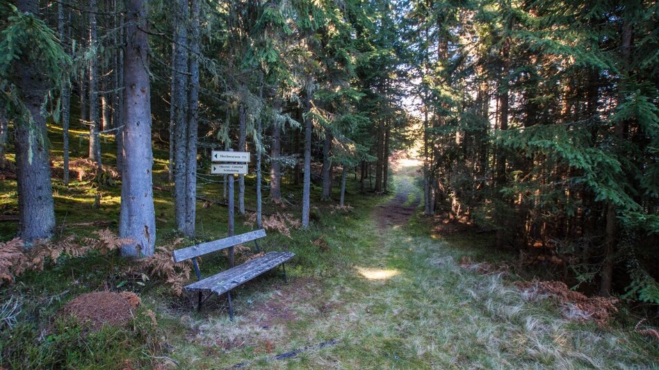 Hiking route From Hochwurzen to the village of Untertal - Touren-Impression #2.12 | © Gerhard Pilz