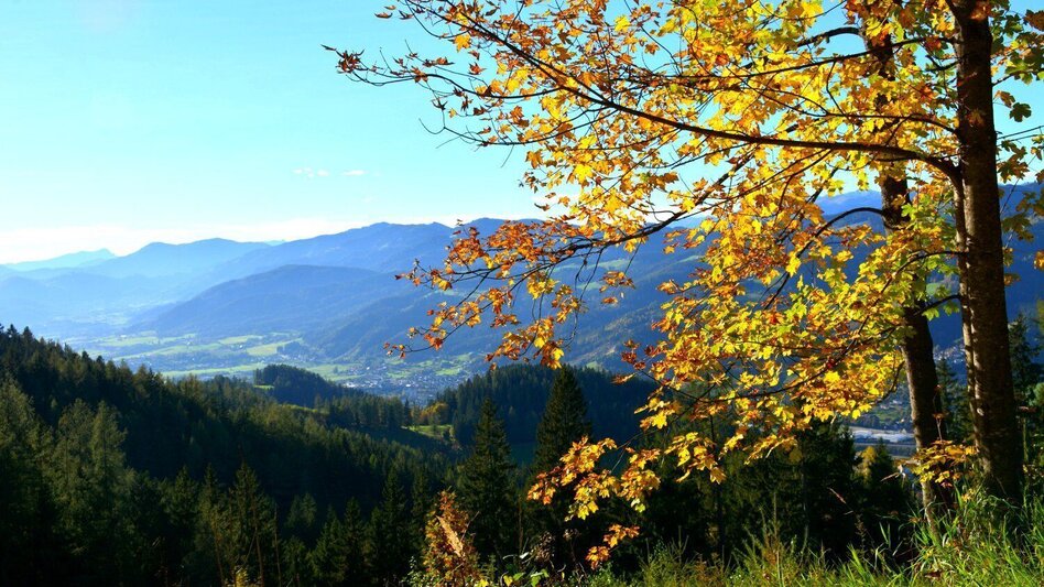 Mountain Biking K2 - Suppenberg Tour (Mountain Bike Route Kindberg 2) - Touren-Impression #2.1 | © Berggasthof Ochnerbauer