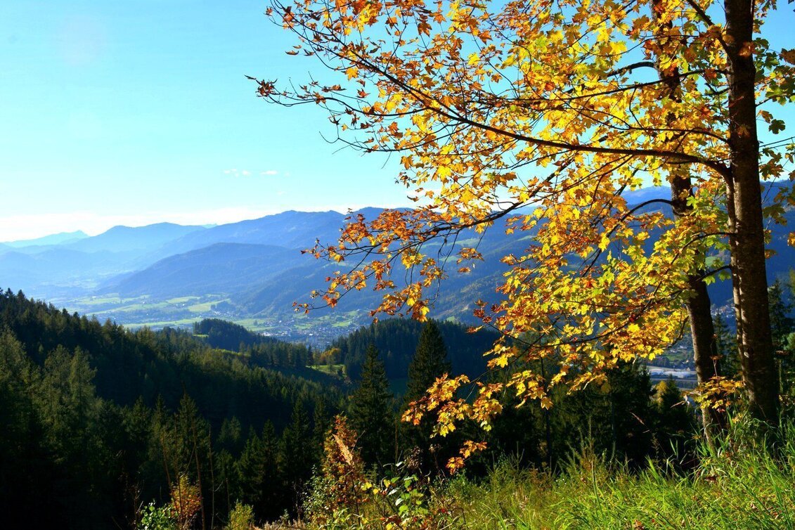 Mountain Biking K2 - Suppenberg Tour (Mountain Bike Route Kindberg 2) - Touren-Impression #1 | © Berggasthof Ochnerbauer