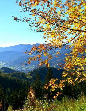 Ausblick | Nadja Roßpaintner | © Berggasthof Ochnerbauer