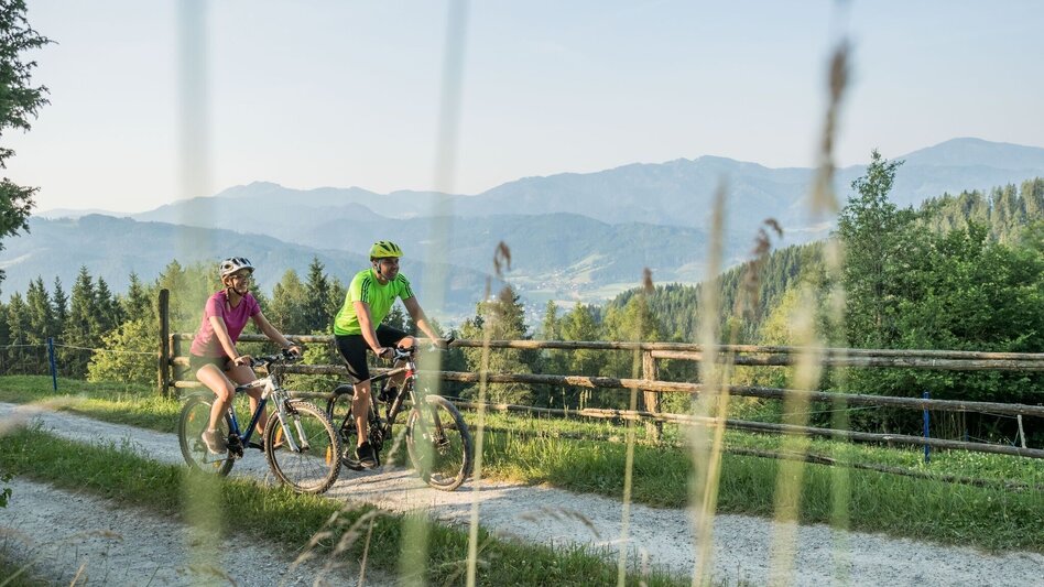 Mountain Biking K3 - Zeller Tour (Mountain Bike Route Kindberg 3) - Touren-Impression #2.2 | © TV Mürztaler Streuobstregion