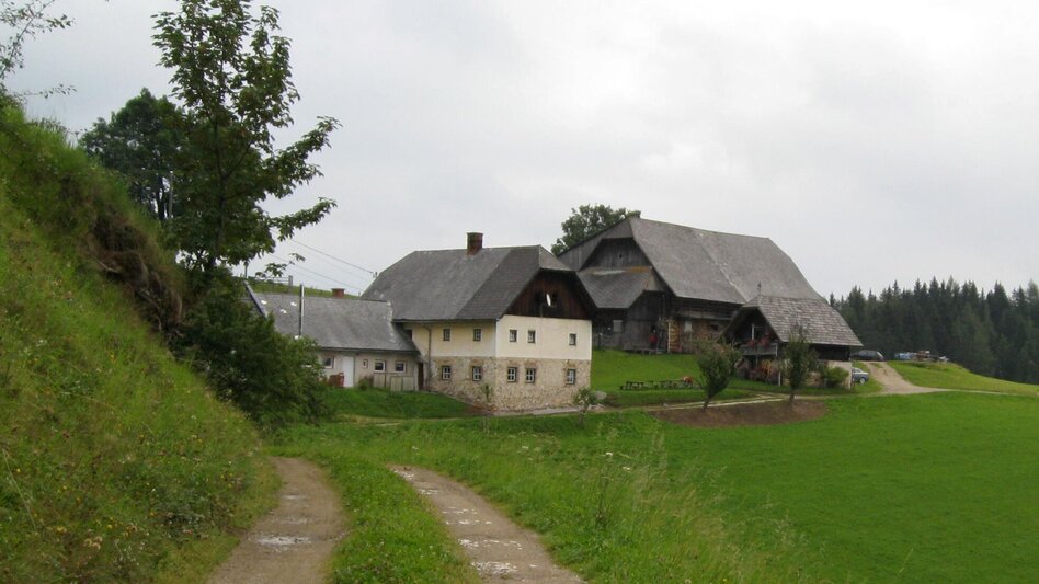 Mountain Biking K3 - Zeller Tour (Mountain Bike Route Kindberg 3) - Touren-Impression #2.3 | © Unbekannt