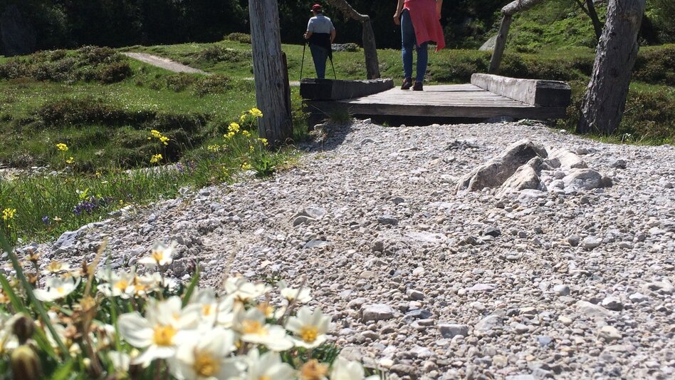 Wasserwege Ursprungalm-Rundweg - Quelle der Sinne - Touren-Impression #2.6 | © Katrin Hutegger