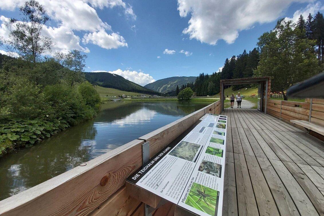 Hiking route Teichalm - Round Trip with Moorlehrpfad - Touren-Impression #1 | © Oststeiermark Tourismus