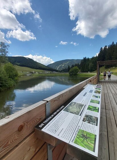 Moorlehrpfad, Teichalm | © Oststeiermark Tourismus | Christine Pollhammer | © Oststeiermark Tourismus