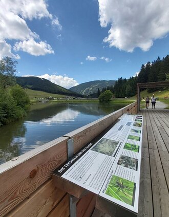 Moorlehrpfad, Teichalm | Christine Pollhammer | © Oststeiermark Tourismus