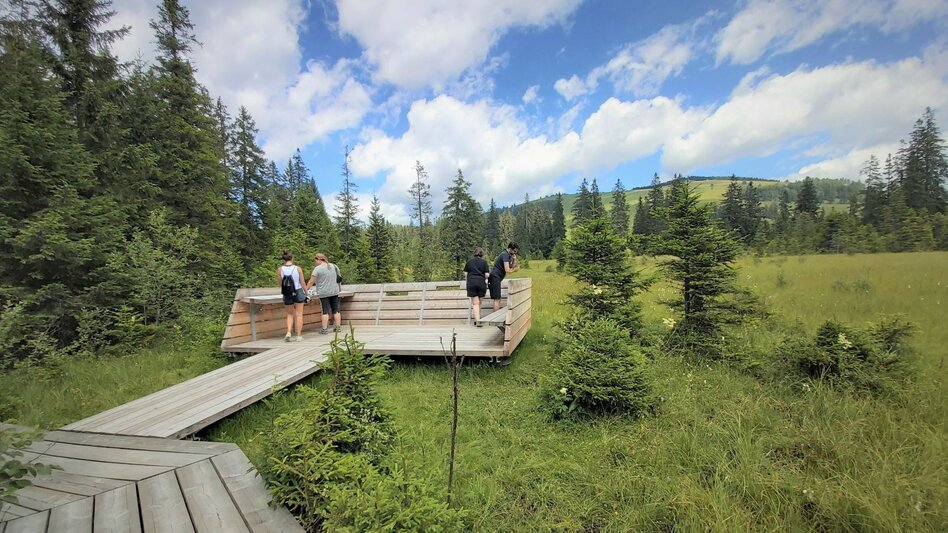 Hiking route Teichalm - Round Trip with Moorlehrpfad - Touren-Impression #2.2 | © Oststeiermark Tourismus