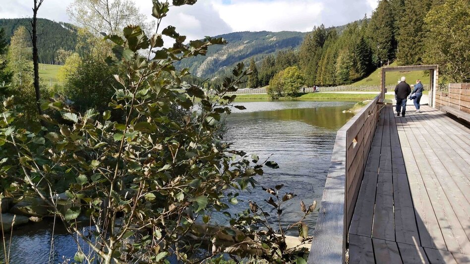 Hiking route Teichalm - Round Trip with Moorlehrpfad - Touren-Impression #2.3 | © Oststeiermark Tourismus