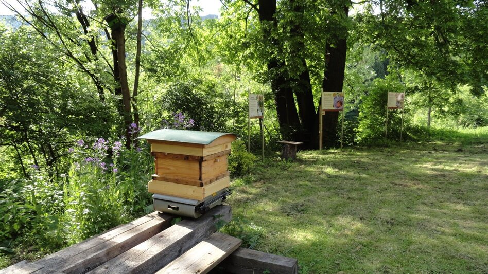 Themen- und Lehrpfad Naturlehrpfad Seegraben - Touren-Impression #2.1 | © Tourismusverband Leoben