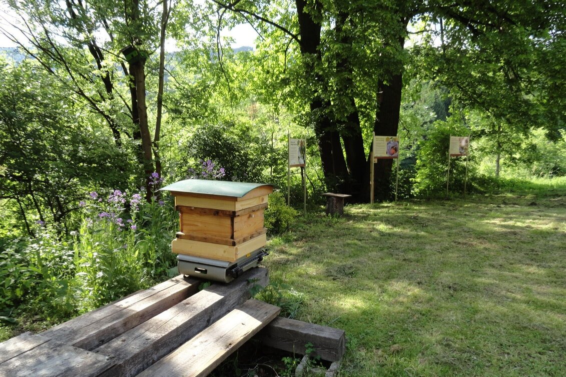 Themen- und Lehrpfad Naturlehrpfad Seegraben - Touren-Impression #1 | © Tourismusverband Leoben