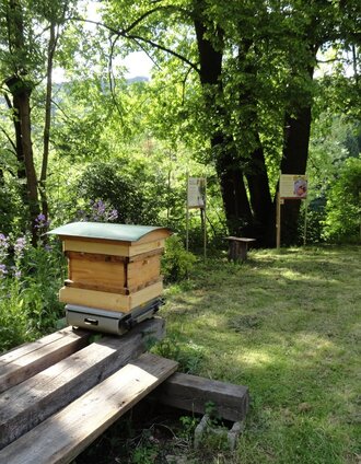 Schauimkerei | Claudia Shane | © Tourismusverband Leoben