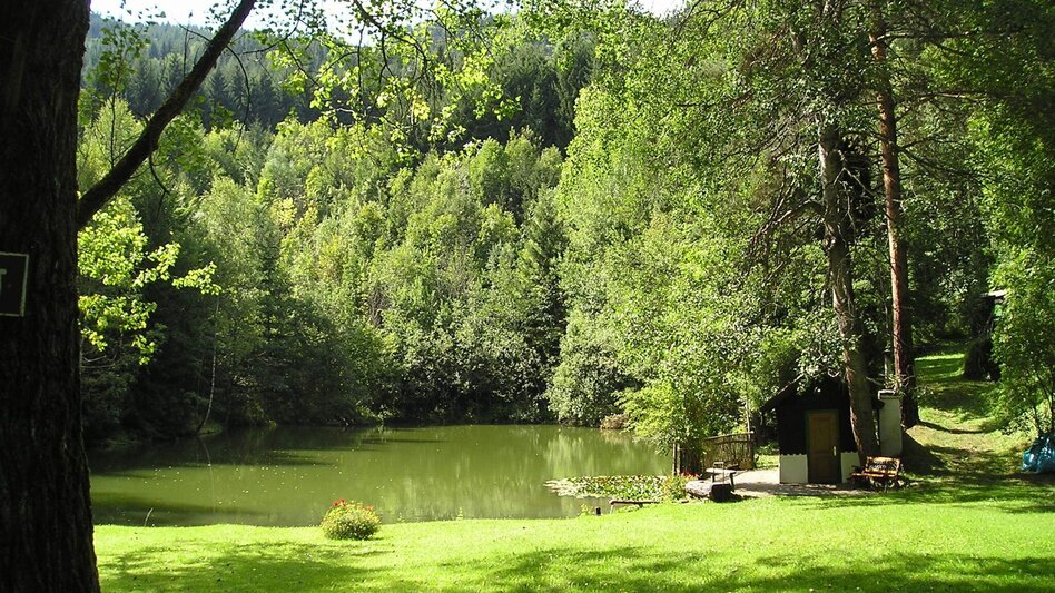 Themen- und Lehrpfad Naturlehrpfad Seegraben - Touren-Impression #2.4 | © Tourismusverband Leoben
