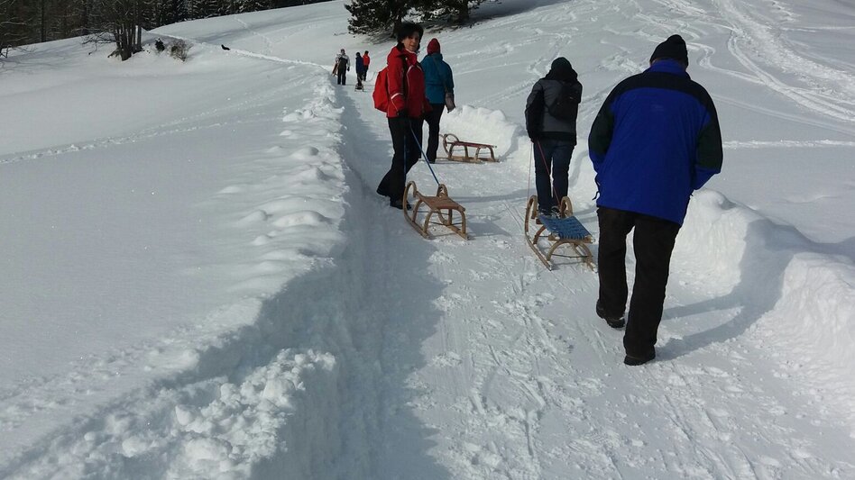 Sledding Herzogberg - Rodelbahn "Pölzl" - Touren-Impression #2.1 | © TV Hochsteiermark