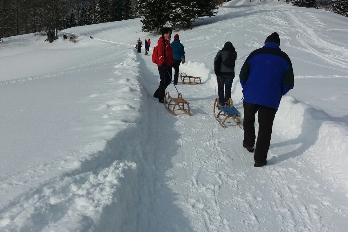 Sledding Herzogberg - Rodelbahn "Pölzl" - Touren-Impression #1 | © TV Hochsteiermark