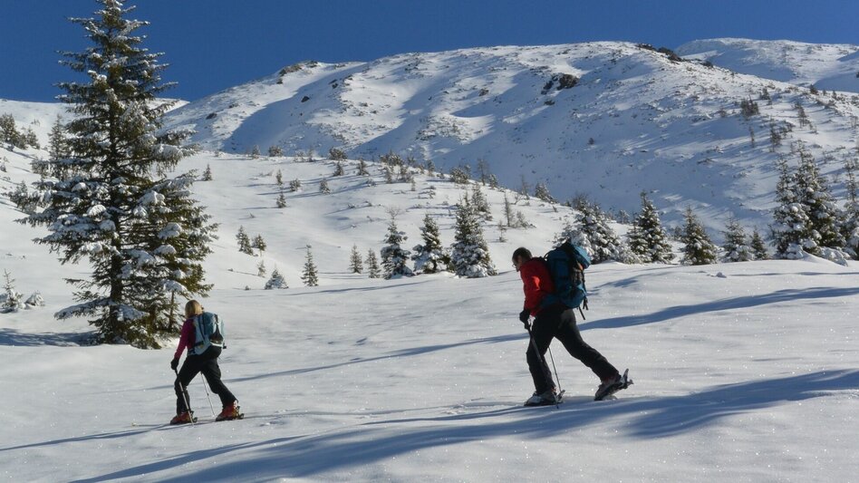 Ski Touring Kerschkern - The favorite in the Triebener Tauern - Touren-Impression #2.1 | © Erlebnisregion Murtal