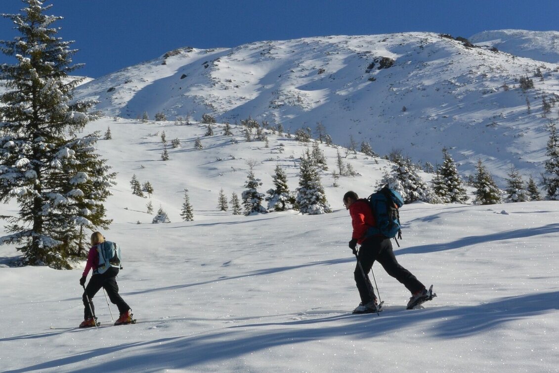 Ski Touring Kerschkern - The favorite in the Triebener Tauern - Touren-Impression #1 | © Erlebnisregion Murtal