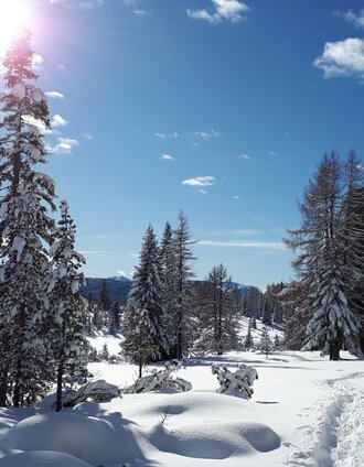 Schneeschuhwandern - Holzerhütte | Klothilde Schnedl | © Tourismusverband Murau