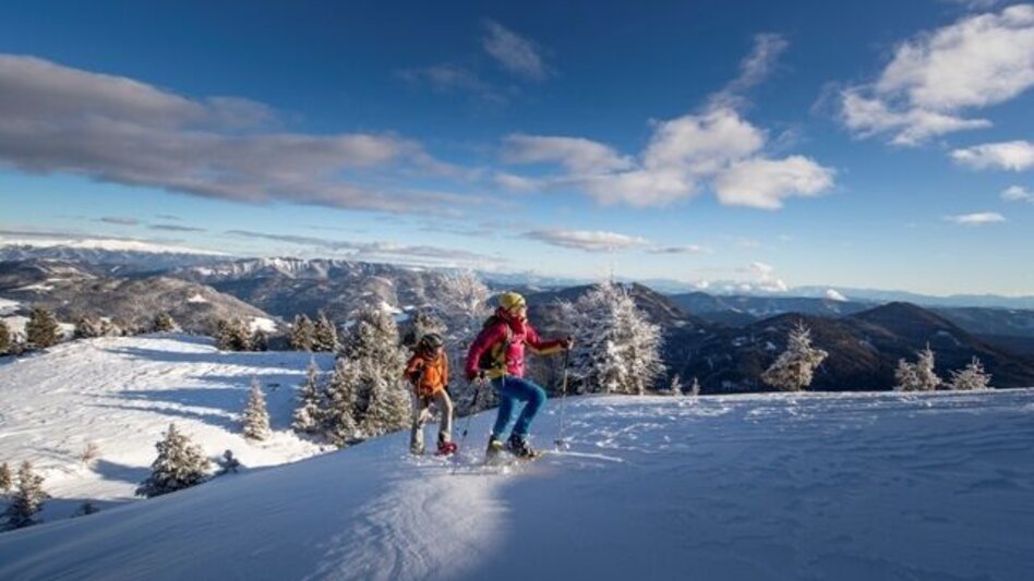 Winter Hiking Pine panoramic path - Touren-Impression #2.1 | © Tourismusverband Murau
