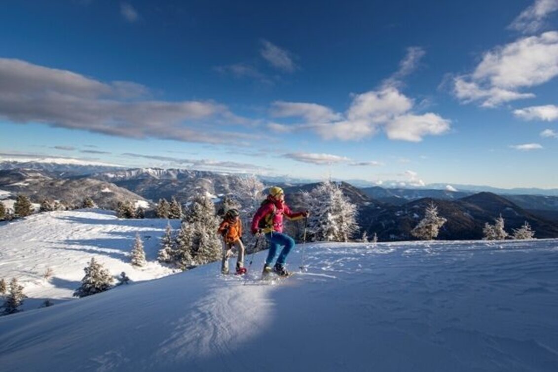 Winter Hiking Pine panoramic path - Touren-Impression #1 | © Tourismusverband Murau