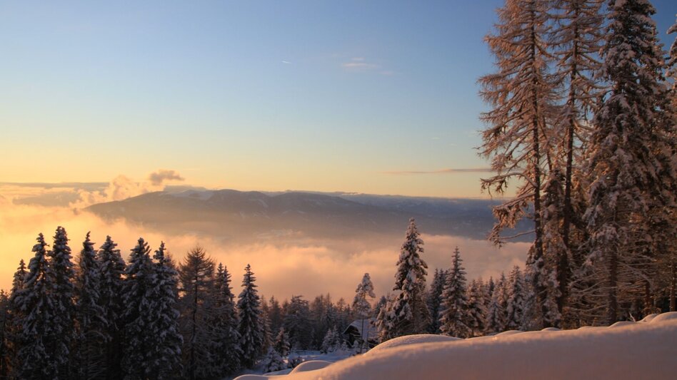Winter Hiking Pine panoramic path - Touren-Impression #2.4 | © Tourismusverband Murau